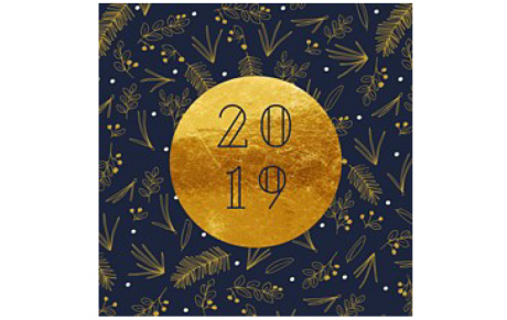 Voeux 2019