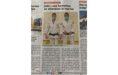 Formation des professeurs